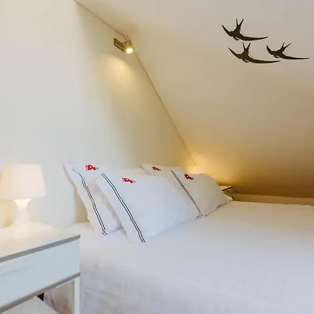 Rent4rest Downtown Tiny Appartement