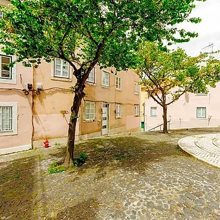 Rent4rest Downtown Tiny